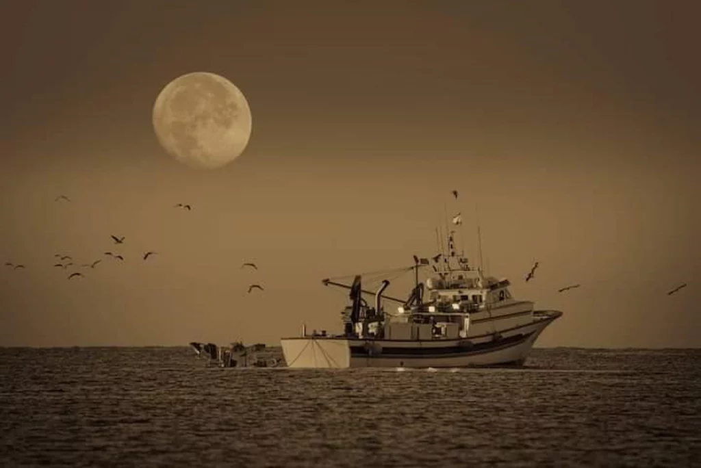 barco los picones