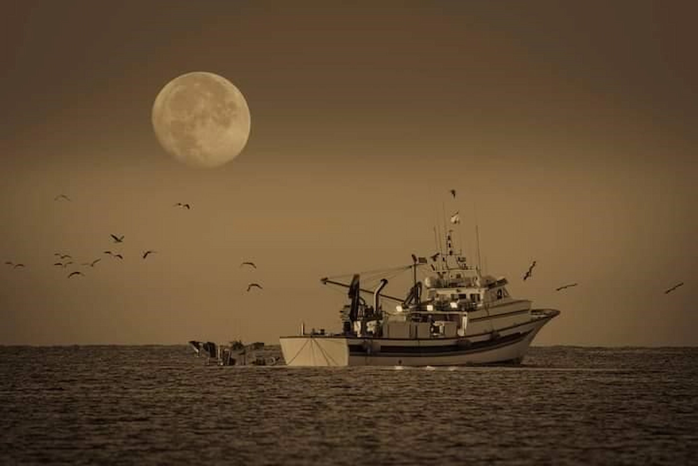 Barco Pesquero Puerto de Mazarrón